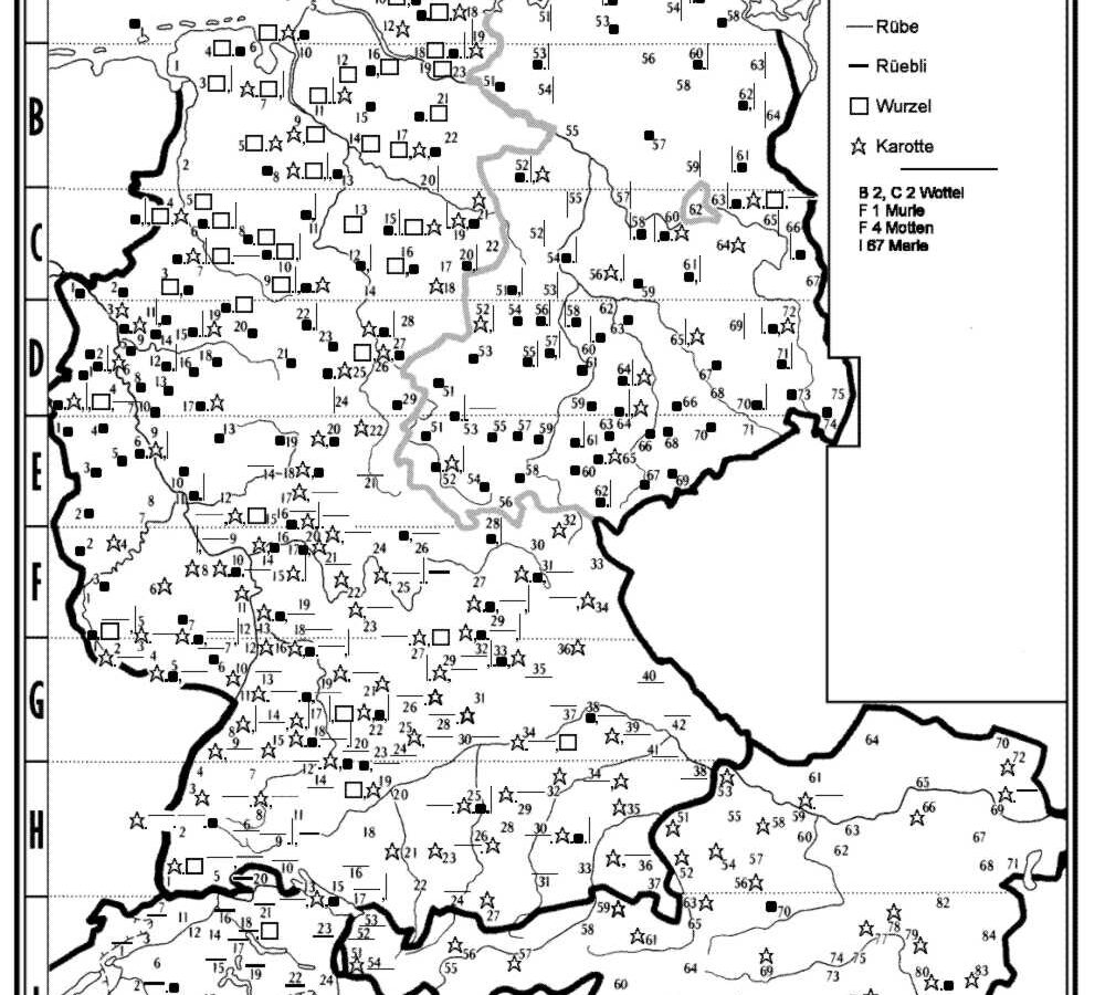 Karottenmigration