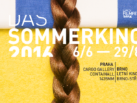 Logo: Sommerkino 2016