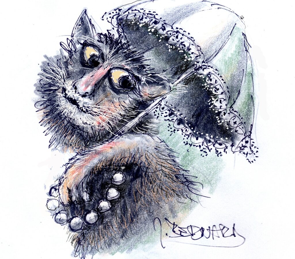 Schmidts Katze Mourinka / Illustration: Jiří Bernard