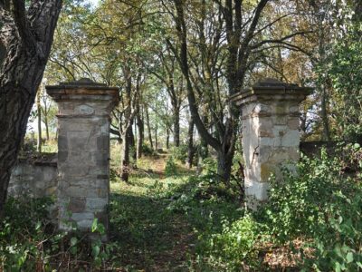 Der Friedhof in Schaab (Pšov), Foto: Omnium