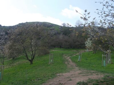 Felsen in Divoká Šárka, Foto: Friederike Aschhoff