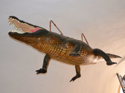 Der Brünner Drache - Foto: Tomáš Randýsek