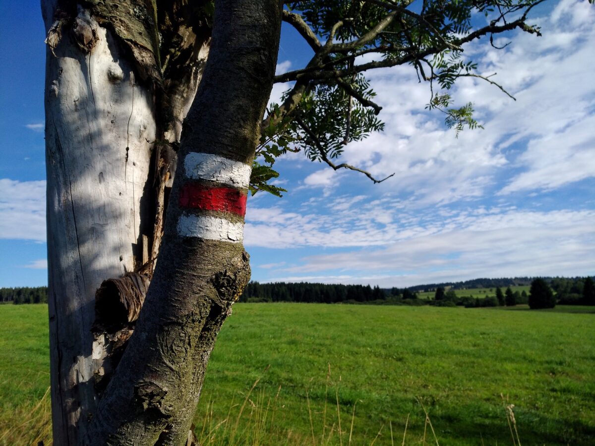 Die Wegmarkierung hat in Tschechien eine lange Tradition - Foto: Isabelle Wolf