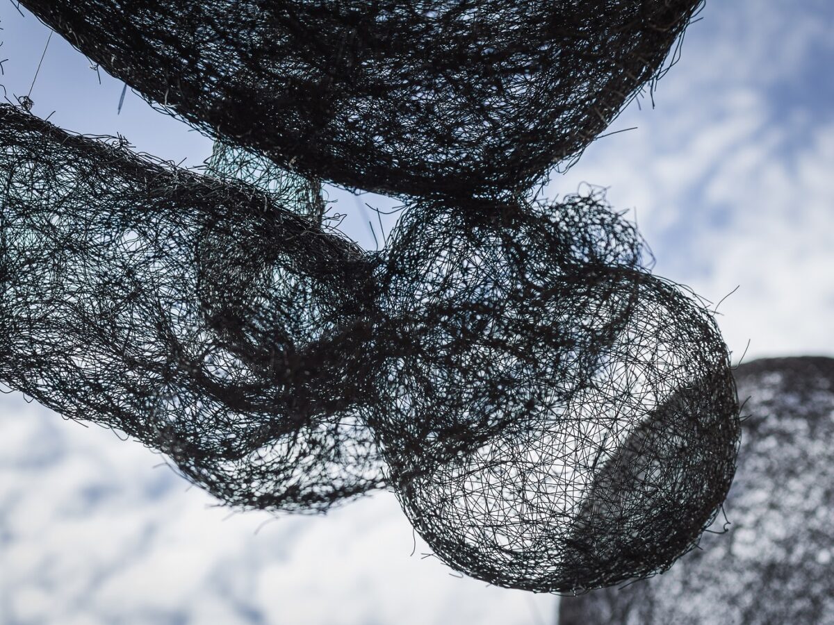 Novoměstská radnice - Foto: DOX