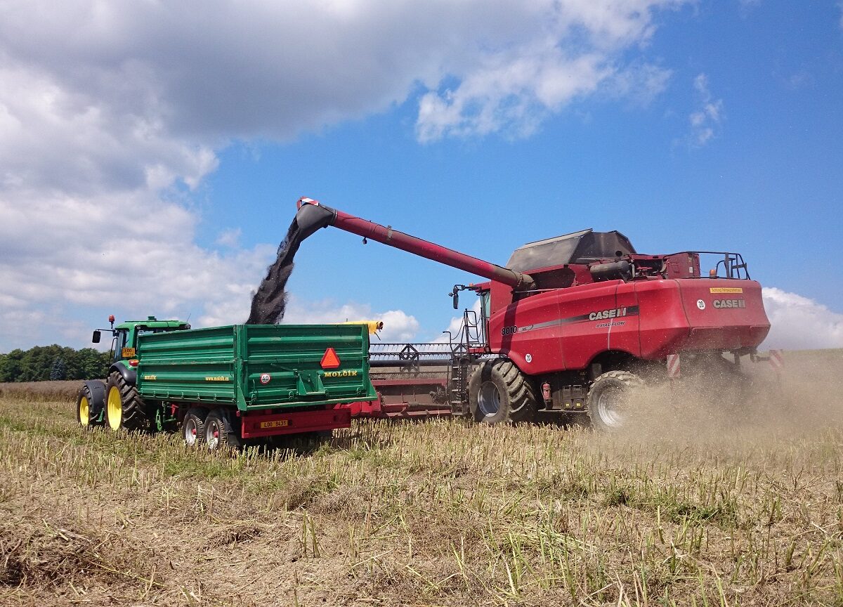Alfred Miller bewirtschaftet etwa 300 Hektar Land - Foto: Alfred Miller