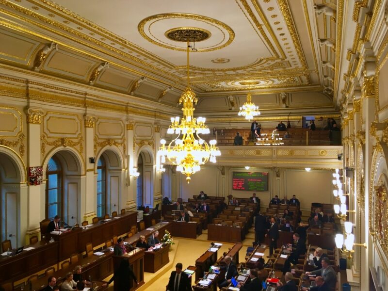 Am Dienstag beschloss das Parlament die Verlängerung des nationalen Notstands bis Ende April - Foto: Peggy Lohse