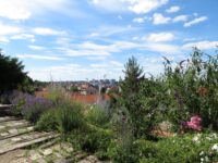 Aussicht, gesäumt von wilden Blumen, Foto: Stephanie Bergwinkl