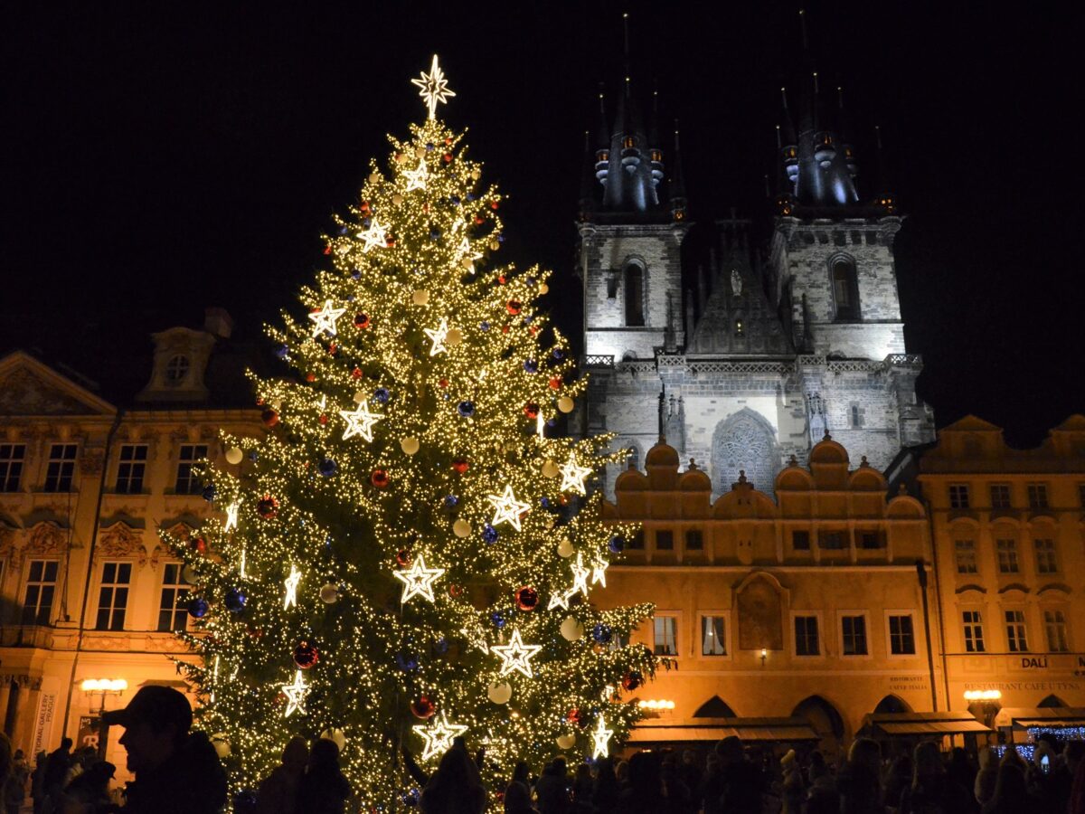 Titelfoto LE 12/2020: Manuel Rommel