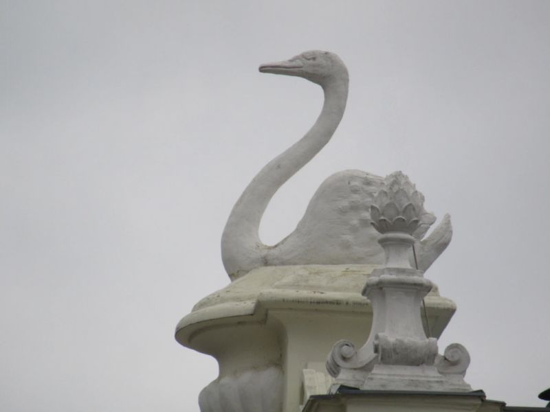 Der Schwan an einem ehemaligen Badehaus im Prager Stadtteil Holešovice. Foto: Detmar Doering