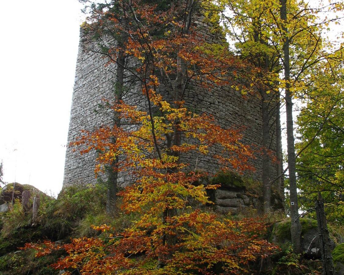 Ruine der Burg Kunzwart (Kunžvart). Foto: Wikimedia Commons/ Dingoa (CC BY-SA 3.0)