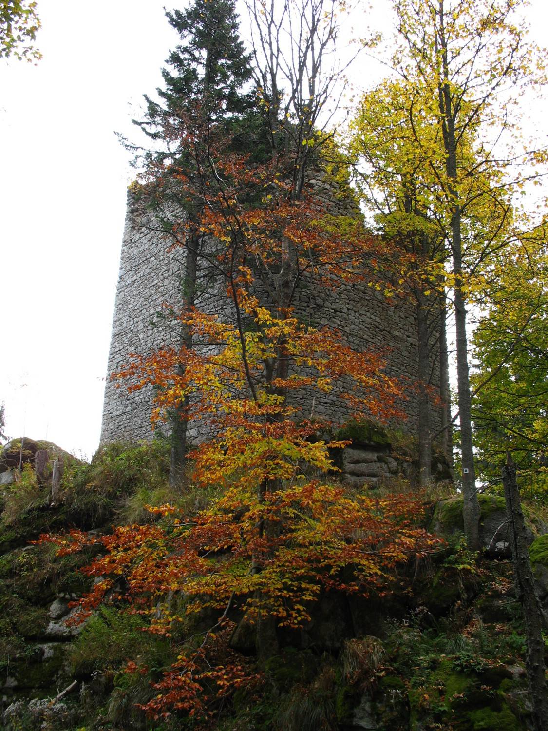 Ruine der Burg Kunzwart (Kunžvart). Foto: Wikimedia Commons/ Dingoa (CC BY-SA 3.0)