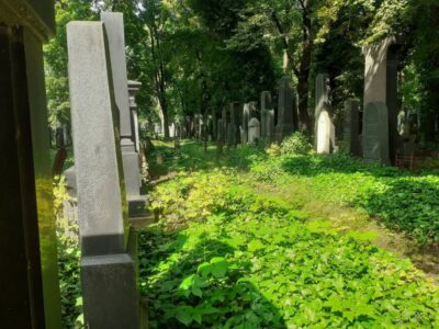 Der Neue Jüdische Friedhof in Žižkov besteht seit 1890. Foto: Jonas Klimm