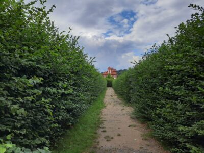 Ein Labyrinth inmitten des Parks von Troja. Im Hintergrund ist das Schloss zu sehen. Foto: Jonas Klimm