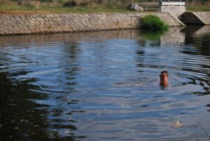 Baden in Hradiště. Foto: Beate Franck