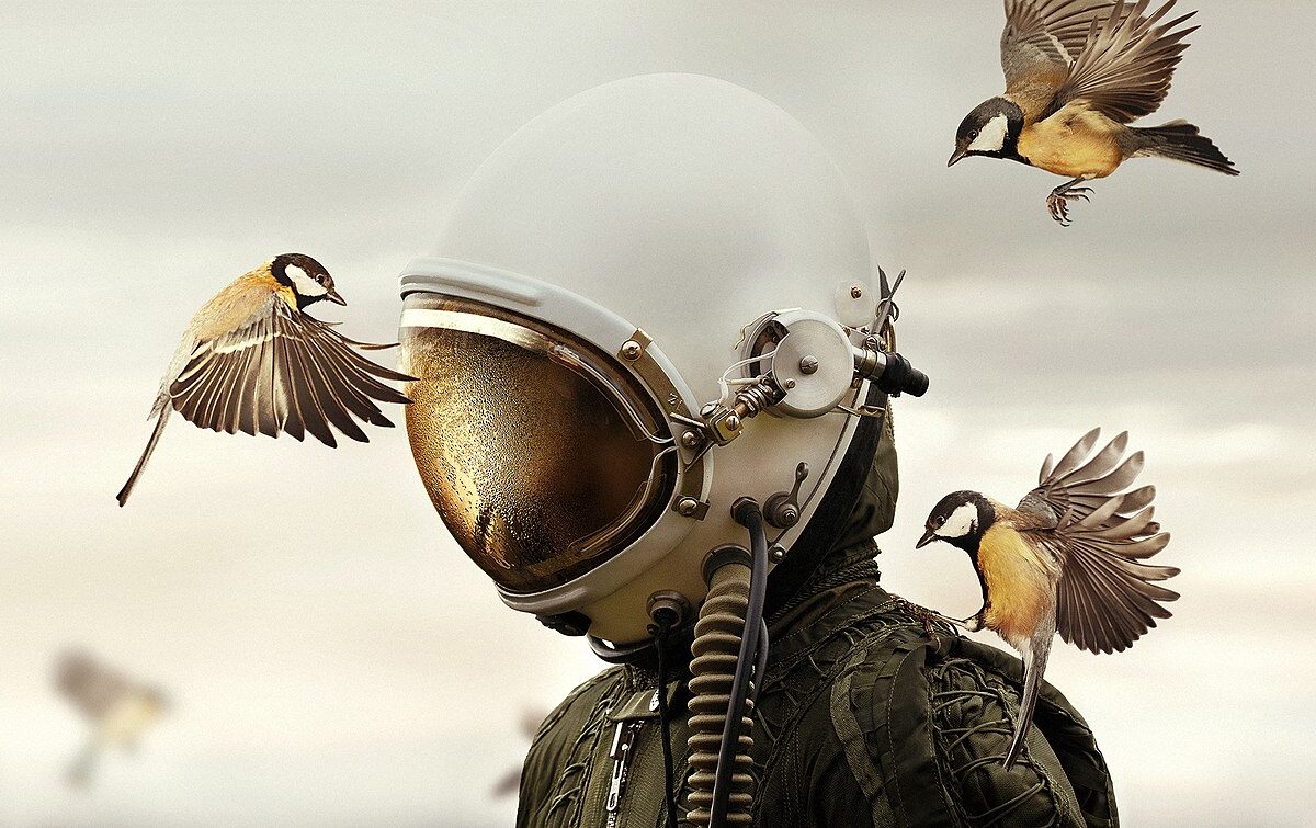 “Dreamers and Warriors” von Martin Stranka (2018), Foto: Michala Zaludova, Dreamers and Warriors, CC BY-SA 4.0