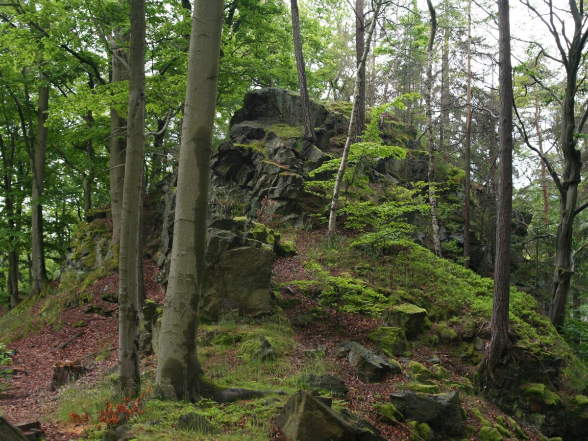 Der Braunstein ist heute bekannt unter dem Namen „Dívčí skok“ (dt. Mädchensprung) im Gedenken an eine junge Frau, die sich aufgrund einer unerwiderten Liebe im Jahr 1896 hier in die Tiefe warf. Foto: Mapy.cz/ Svenzittauer