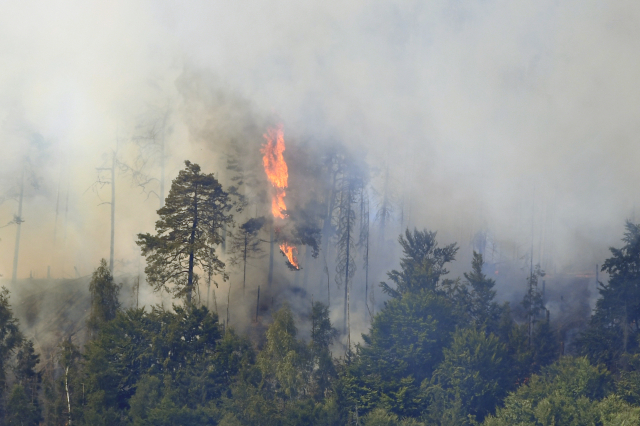 Waldbrand im Nationalpark Böhmische Schweiz bei Herrnskretschen (Hřensko) am 24. Juli 2022. Foto: ČTK/Hájek Ondřej
