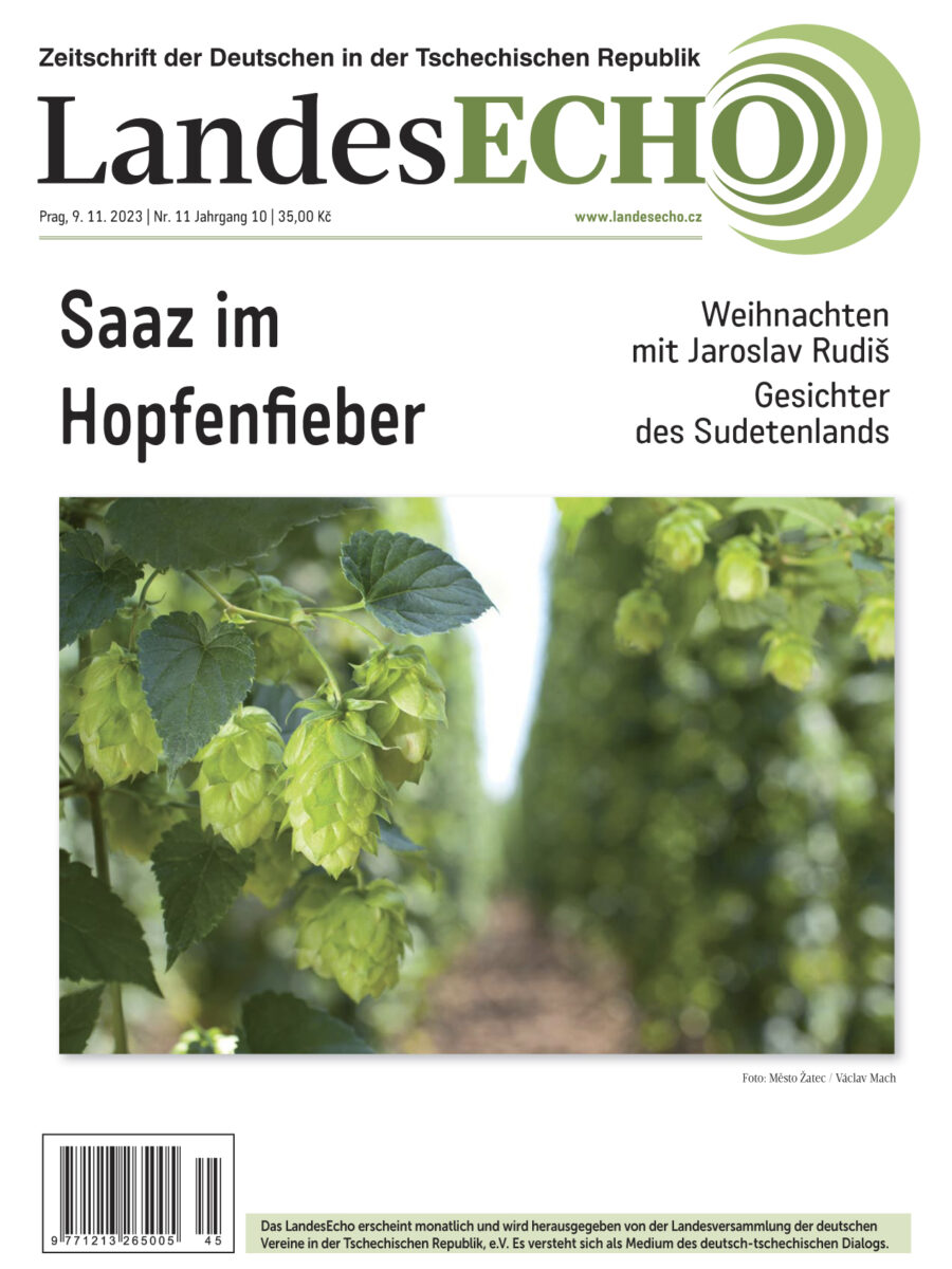 Das neue LandesEcho 11/2023 ist da!