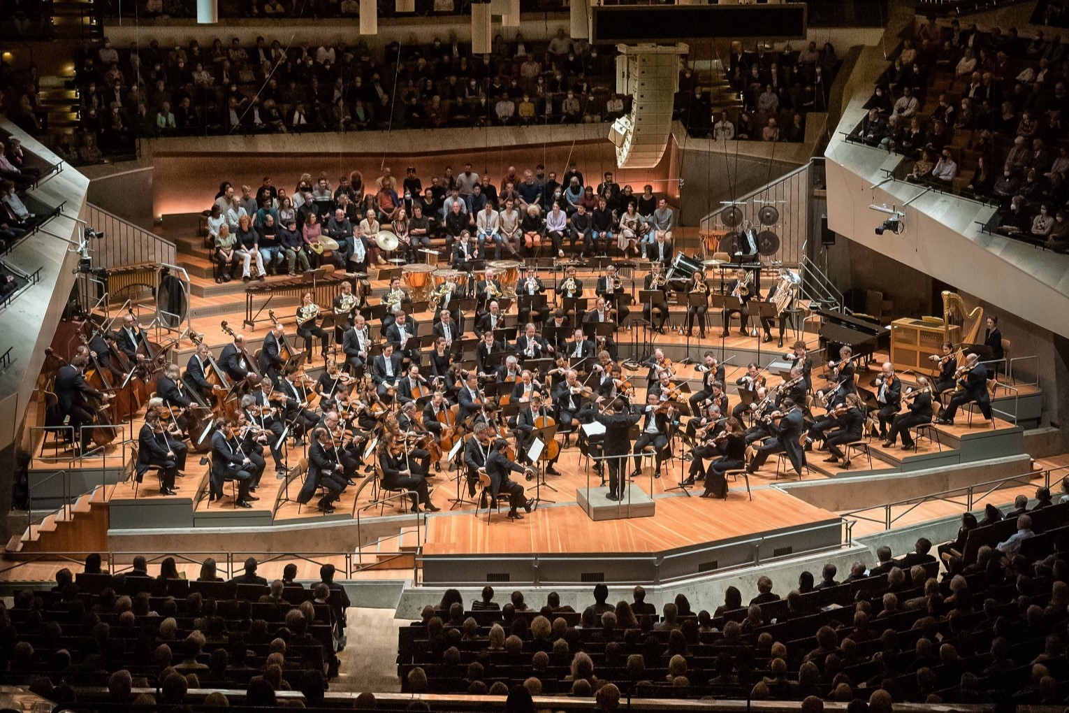 Die Berliner Philharmoniker. Vorne am Dirigentenpult gibt François-Xavier Roth den Takt an. Foto: Stephan Rabold
