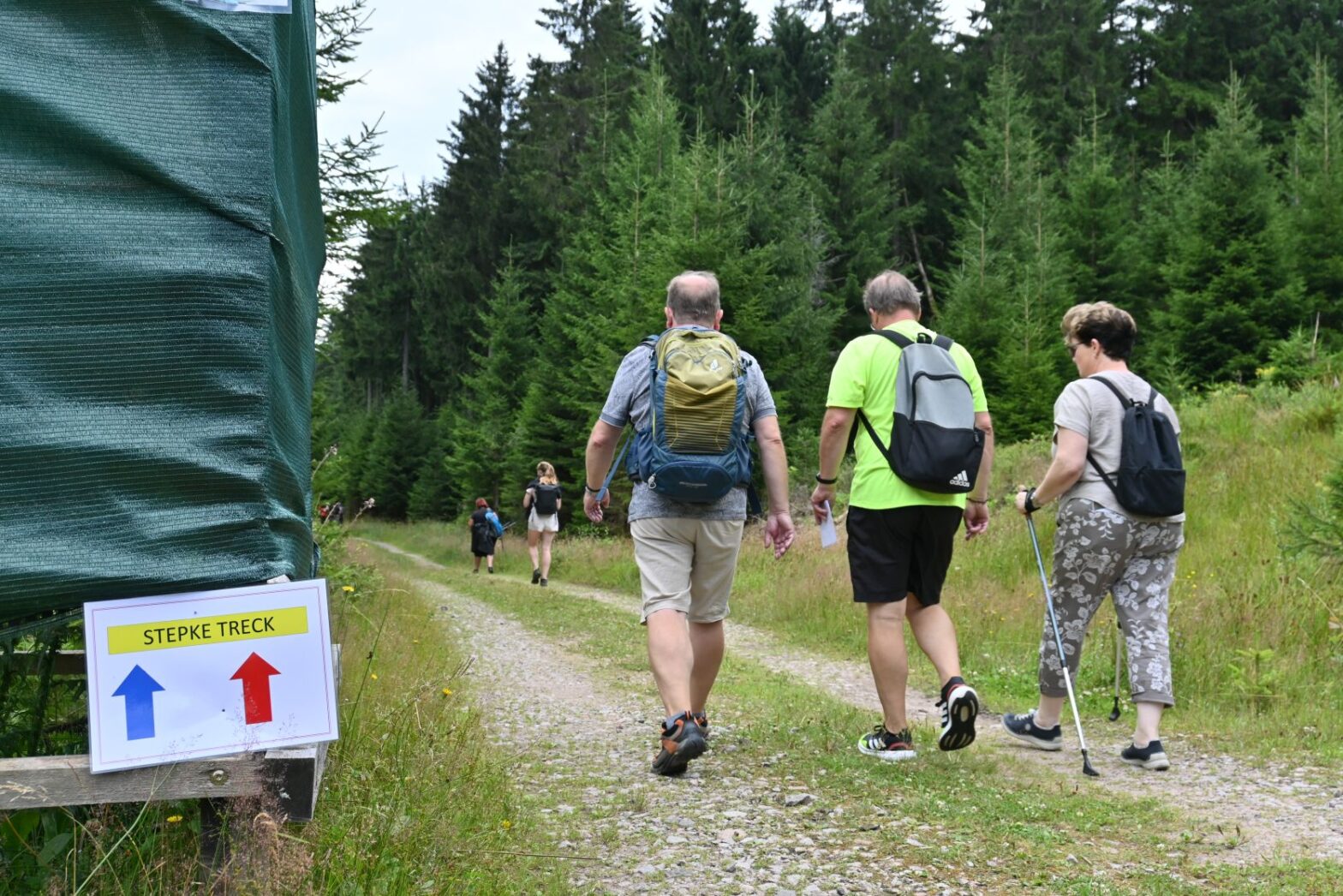 Durch Wald und über Wiesen führte in diesem Jahr der Stepke Treck. Foto: Maximilian Schmidt