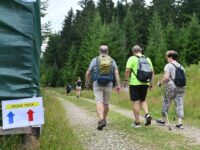 Durch Wald und über Wiesen führte in diesem Jahr der Stepke Treck. Foto: Maximilian Schmidt