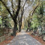 Spaziergang durch den Wolschaner Friedhof (Olšanské hřbitovy) im Herbst. Foto: Rosa Bort