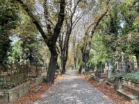 Spaziergang durch den Wolschaner Friedhof (Olšanské hřbitovy) im Herbst. Foto: Rosa Bort