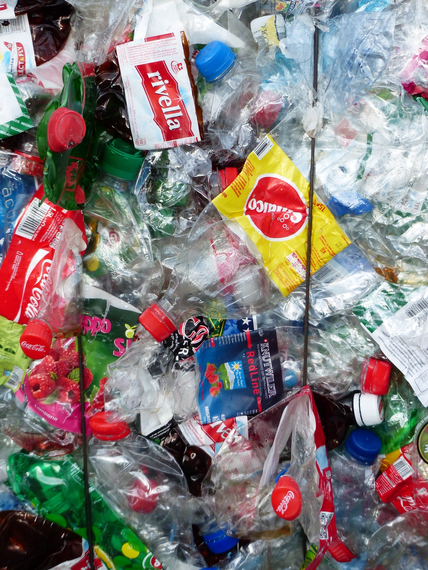 Plastikflaschen auf dem Weg zum Recyclinghof. Foto: Pixabay