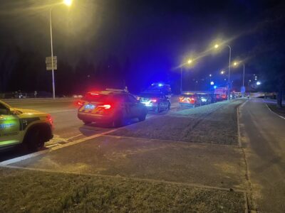 Ein tschechisches Polizeiauto parkt mit Blaulicht am Straßenrand.