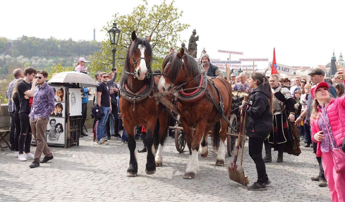 Zwei große Pferde ziehen eine historische Kutsche über die Karlsbrücke in Prag, umgeben von Menschen in mittelalterlichen Kostümen und neugierigen Zuschauenden.