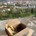 Pappverpackung mit Toast mit Räucherlachs, Frischkäse, Gurken und Rucola, dazu ein Schokotörtchen – genossen im Garten Grébovka mit Blick auf Prag.
