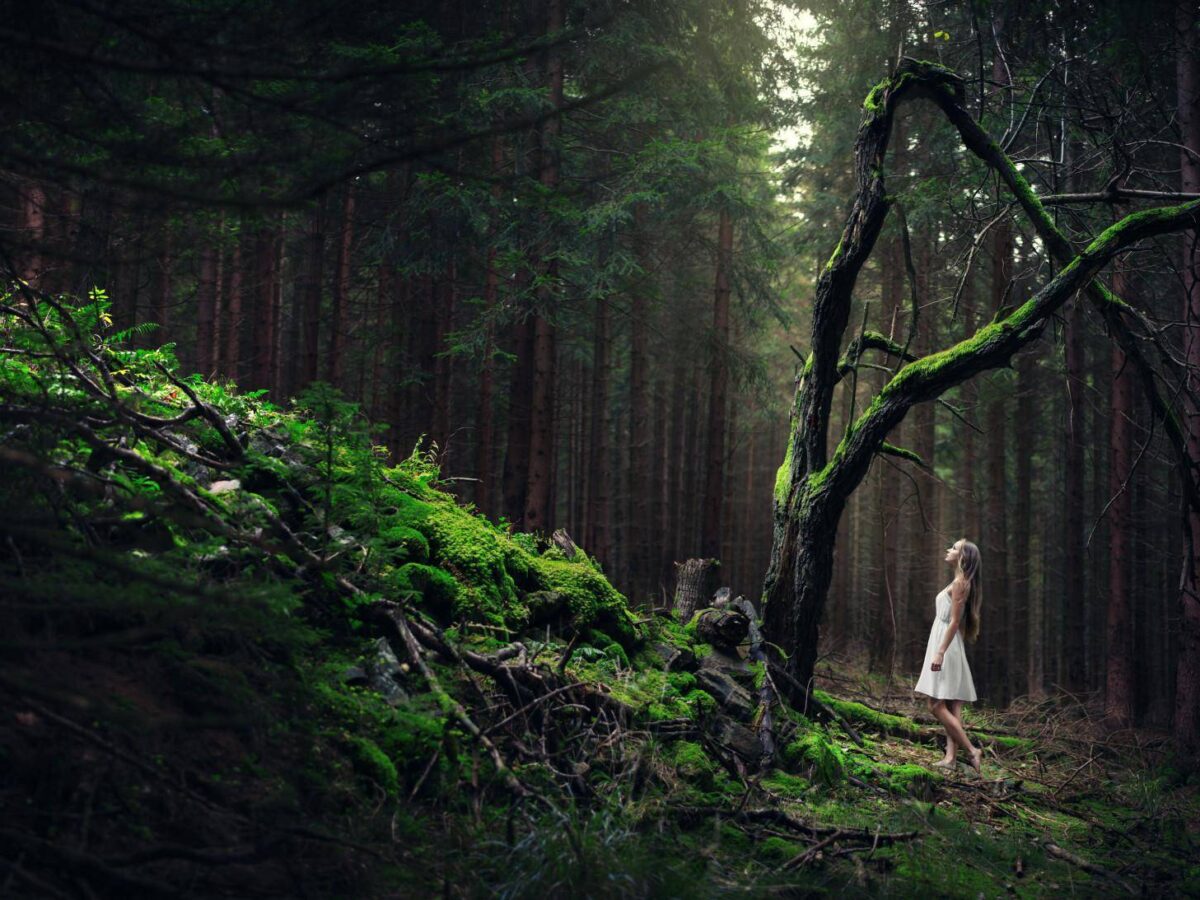 Das Bild zeigt eine Frau in weißem Kleid, umgeben von Bäumen. Der Tourismusverband Jeseníky wirbt für staatlich geförderte Rabattgutscheine, mit denen die tschechische Regierung mehr Touristen in das Altvatergebirge locken möchte.