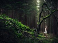 Das Bild zeigt eine Frau in weißem Kleid, umgeben von Bäumen. Der Tourismusverband Jeseníky wirbt für staatlich geförderte Rabattgutscheine, mit denen die tschechische Regierung mehr Touristen in das Altvatergebirge locken möchte.