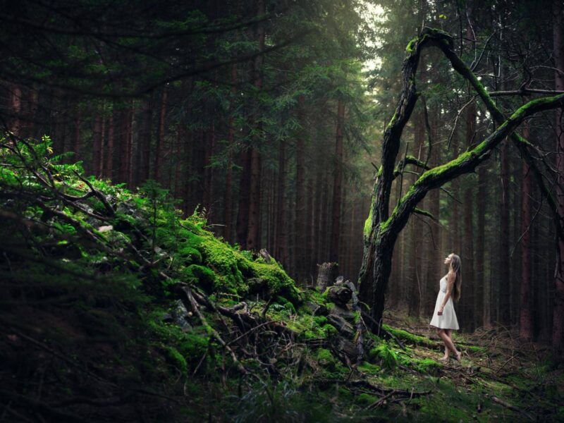 Das Bild zeigt eine Frau in weißem Kleid, umgeben von Bäumen. Der Tourismusverband Jeseníky wirbt für staatlich geförderte Rabattgutscheine, mit denen die tschechische Regierung mehr Touristen in das Altvatergebirge locken möchte.