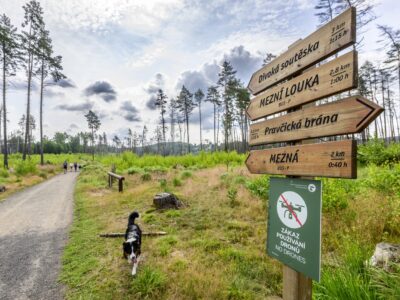 Auf tschechischer Seite führt der geplante Wanderweg durch das 2022 vom verheerenden Waldbrand betroffene Gebiet. Auf tschechischer Seite führt der geplante Wanderweg durch das 2022 vom verheerenden Waldbrand betroffene Gebiet.