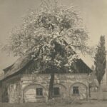 Die Abbildung zeigt ein Werk des Fotografen Josef Wurbs, auf dem ein Gebäude und ein Baum zu sehen sind.