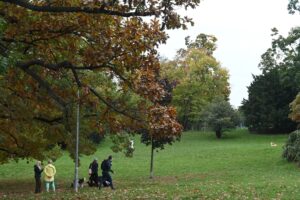 Der Herbst ist in Prag angekommen. Überall in der Stadt zeigen sich erste bunte Farbtupfer. Auch der Riegerpark (Riegrovy sady) verwandelt sich vom Grünen ins herbstlich Bunte – ein beliebter Ort, den viele Pragerinnen und Prager für einen Spaziergang nutzen...