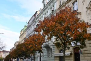 ...oder wie in Žižkov, wo entlang der Allee die farbenfrohen Bäume unübersehbar den Herbst einläuten.