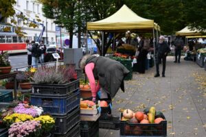 Weiter durch die Straßen der Stadt fallen einem die vielen Prager Marktstände ins Auge. Einer davon ist der Markt am Tyl-Platz (Tylovo náměstí), auf dem bereits verschiedene herbstliche Spezialitäten locken. 