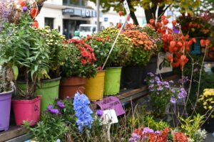 Dazu gehören nicht nur verschiedenste saisonale Blumen...