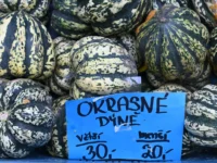 Der Herbst hält Einzug in Prag – an einem Stand am Tyvolo-Platz werden Kürbisse verkauft.