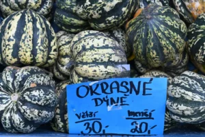 Der Herbst hält Einzug in Prag – an einem Stand am Tyvolo-Platz werden Kürbisse verkauft.