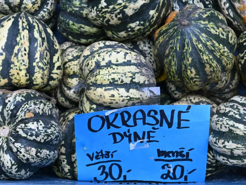 Der Herbst hält Einzug in Prag – an einem Stand am Tyvolo-Platz werden Kürbisse verkauft.