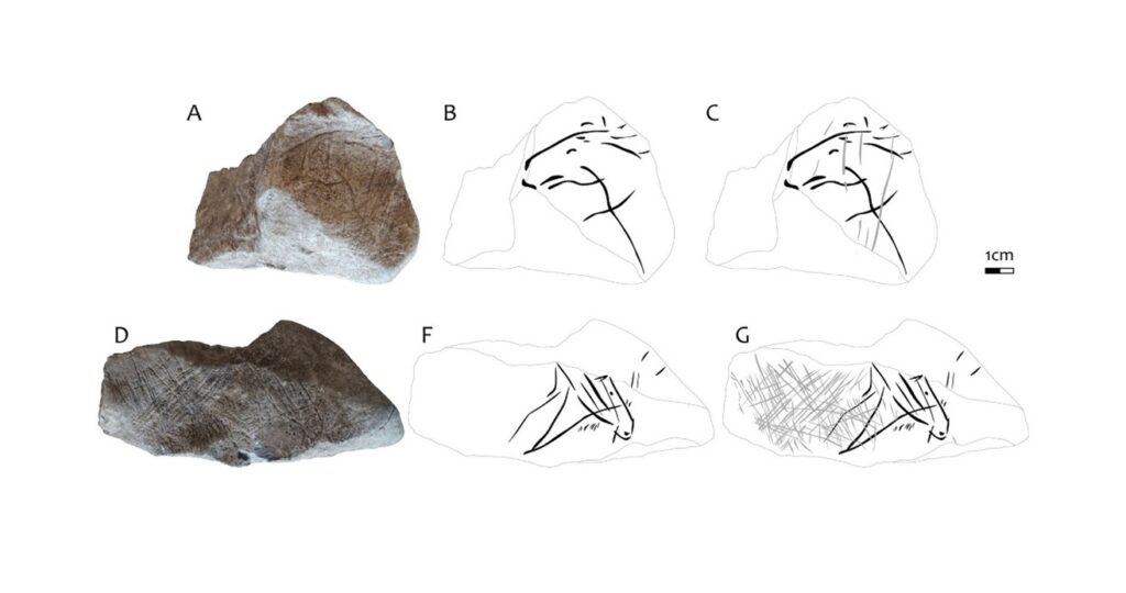 Auf dem Kalksteinblock sind zwei benachbarte Pferdegravuren erkennbar, die teilweise von später hinzugefügten Linien überlagert werden.