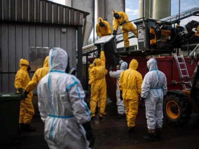 In dieser Woche startete die Keulung, die Tötung der über 236.000 Legehennen, in einem Geflügelzuchtbetrieb in der Region Königgrätz (Hradec Králové).