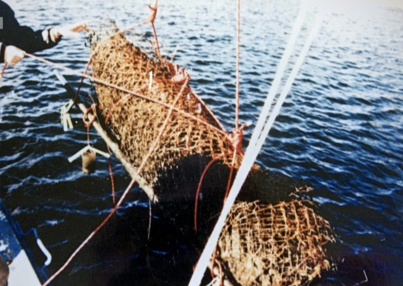 Die in Drahtgeflecht eingewickelte Leiche von Aleš Katovský wird aus dem Adler-Stausee geborgen.