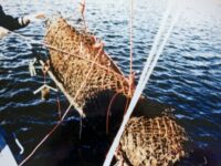 True-Crime-Geschichten aus Tschechien: Die Mörder vom Adler-Stausee