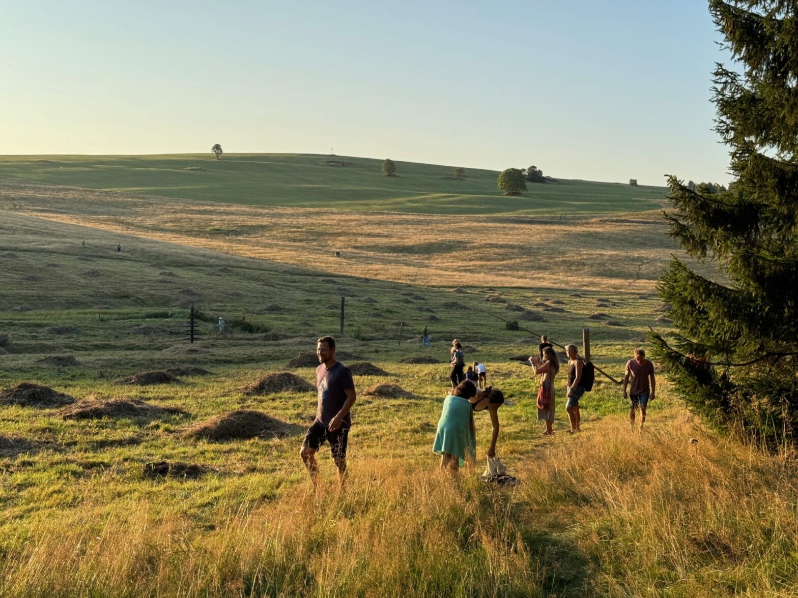 Das Programm "Ein Jahr an der Grenze" sucht wieder "Enthusiasten und Macher" in der deutsch-tschechischen Grenzregion