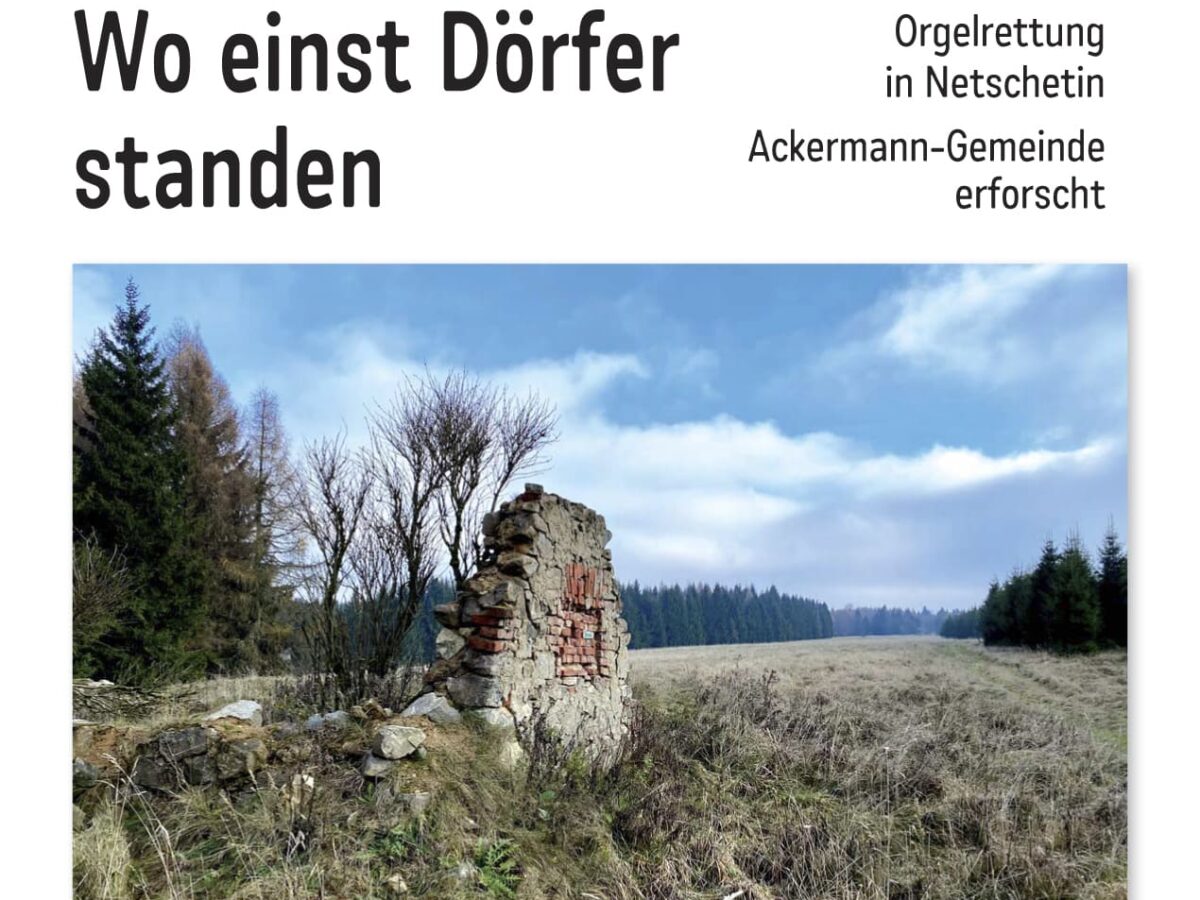 Die neue März-Ausgabe des LandesEcho ist da!