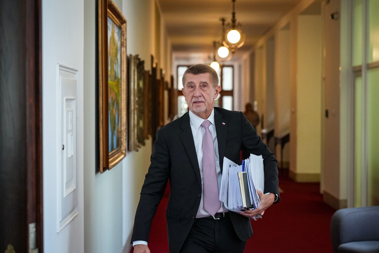 Welche Pläne hat Babiš im Umgang mit NGOs und Vereinen?